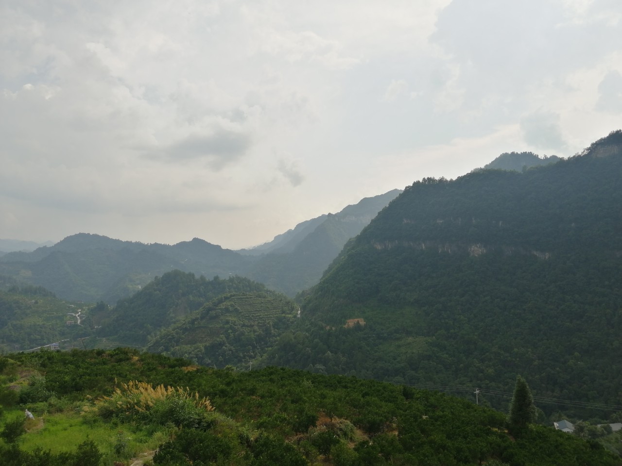 继续努力在钓鱼的路上,我不在钓鱼就在去钓鱼的路上图片