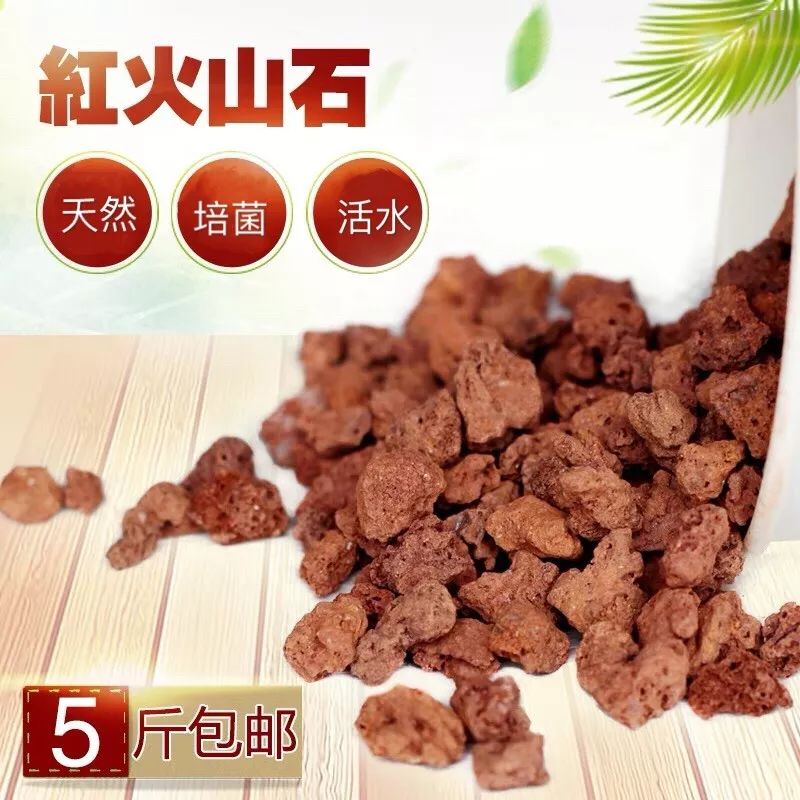 周末狂欢6.3礼包多少元宝,周末狂欢购好物播不停