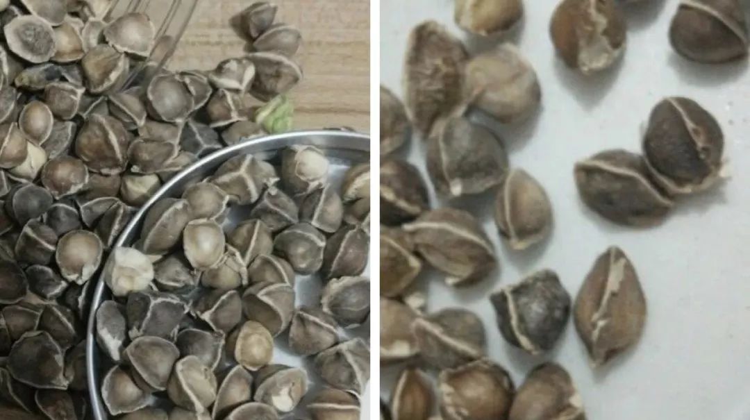 杈ｅ鎯婅壋浜浉鍏ㄥ満,纭牳杈ｅ缁艰壓鑺傜洰