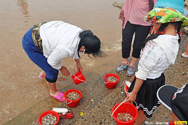 在礐石居然有这么一个世外桃源,日照有哪些海滩可以免费赶海