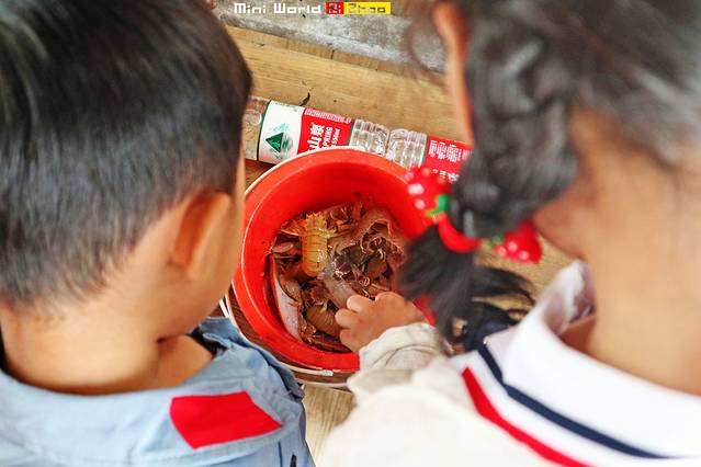 在礐石居然有这么一个世外桃源,日照有哪些海滩可以免费赶海