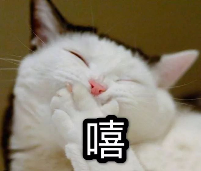 大牌美白精华测评,大牌美白精华总结