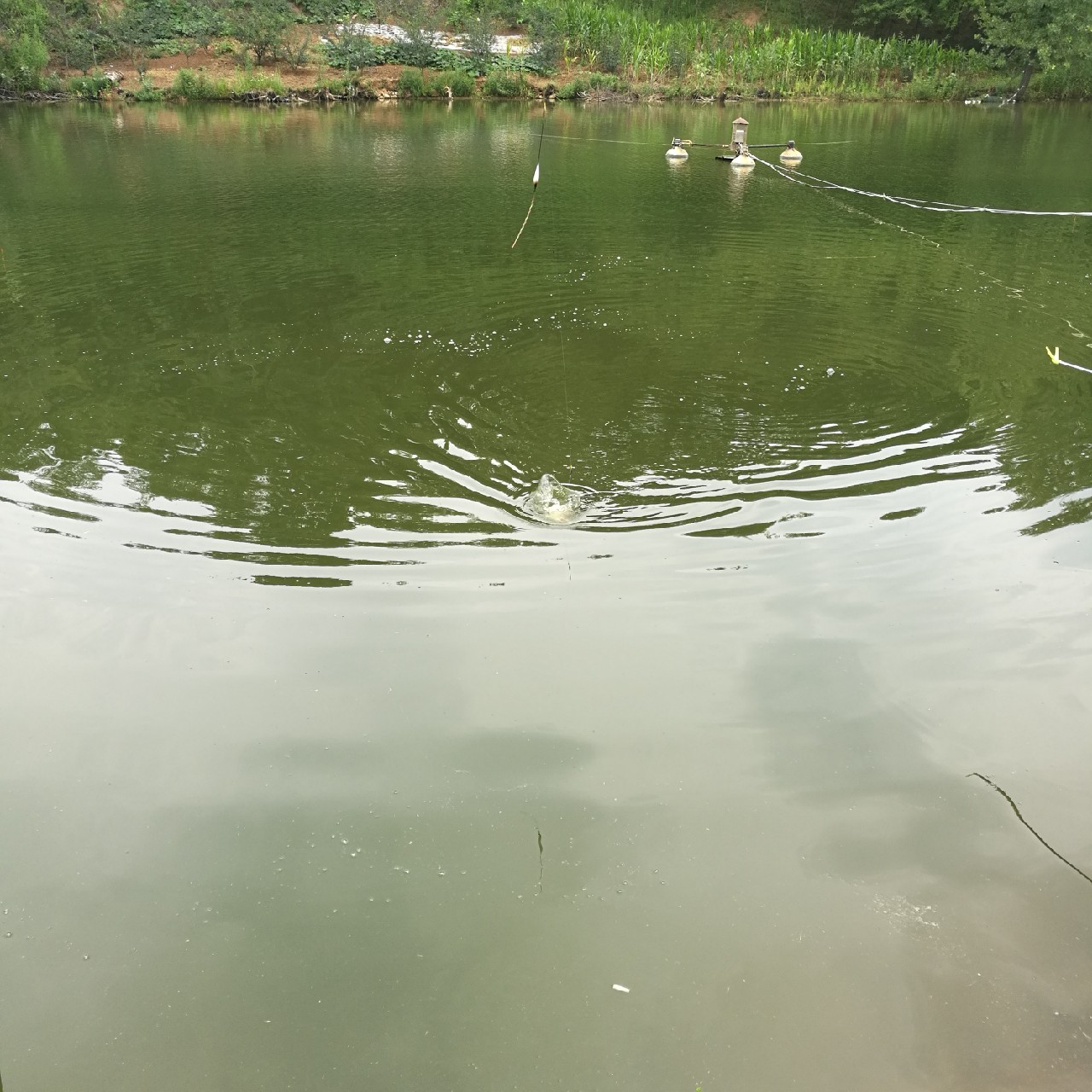 黑坑第三站小寨水库，竿断脆响人郁闷...