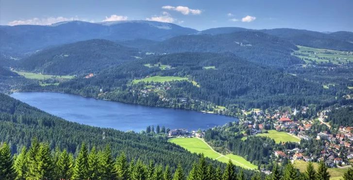 「旅游」喜欢烘焙的小伙伴当心啦！这款蛋糕用错原料可能面临牢狱之灾