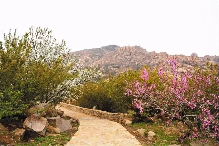 乳山周末好去处,乳山踏秋好去处