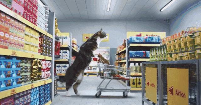 N次回购清单|当代成年人的安全感又名,「不囤不行」