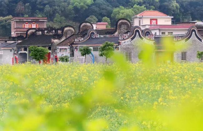 亮了！高明上半年“成绩单”出炉！哪个镇街的成绩最抢眼？