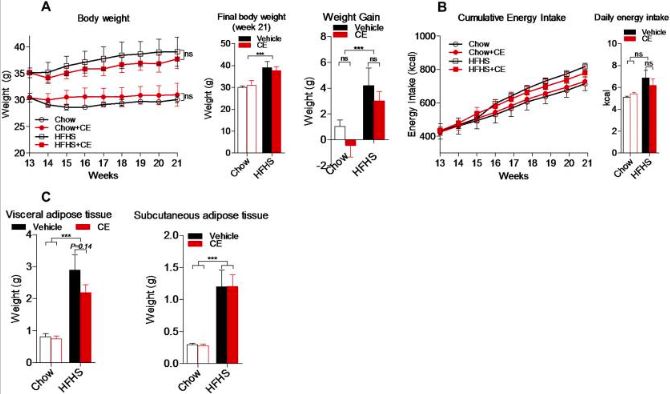 akk益生菌有什么功效,万能益生菌效果怎么样