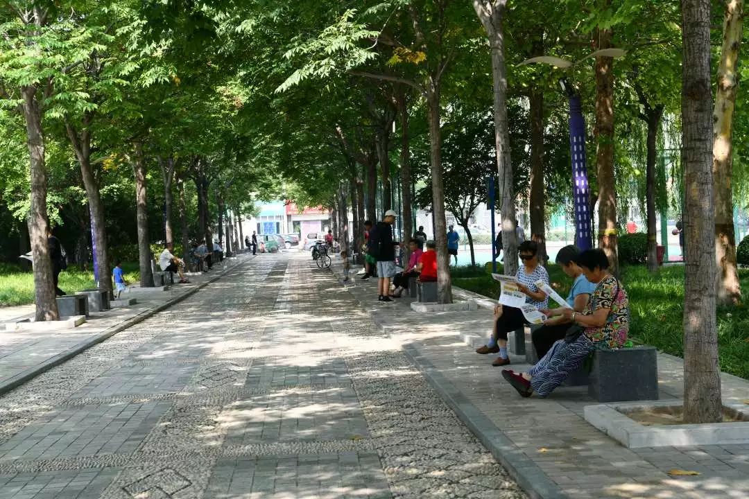 栾城区各村人口,栾城县各镇人口排名