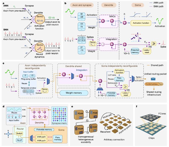 清华大学的这辆自行车“成精”了！“天机”在全球顶尖期刊“泄露”