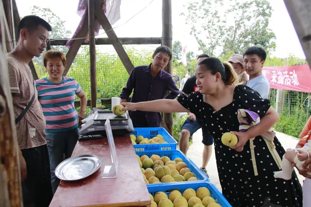 购购购！今天这里超热闹