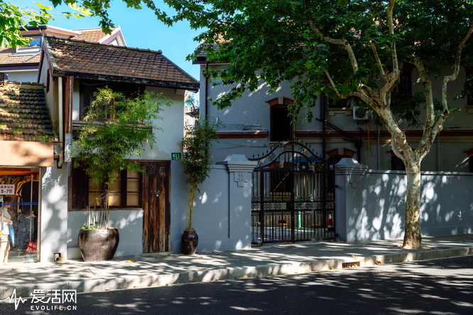 腾龙sp35mm1.4镜身是金属的,腾龙sp17-50mmf2.8镜头