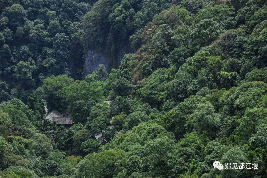 青城山可以去学习吗,四川在青城山的大学