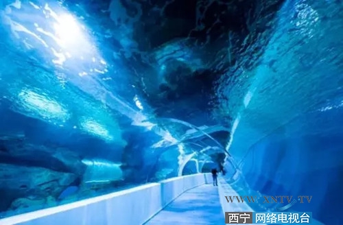 新华联童梦乐园五一门票,新华联童梦乐园一日游攻略