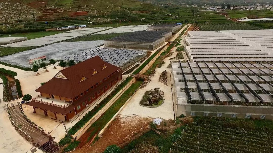 宾川县城加油,宾川加油站活动