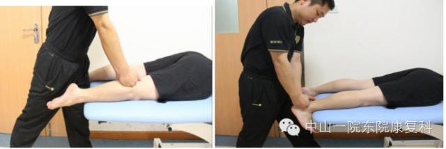 筋膜的康复训练方法,12条筋膜链解析及治疗手法