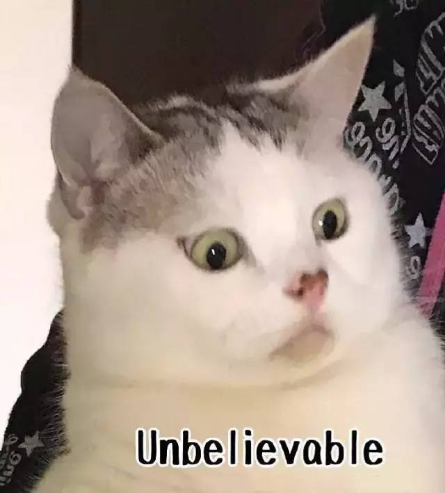 日元汇率大跌接近24年最低,日元汇率大跌接近24年最低水平