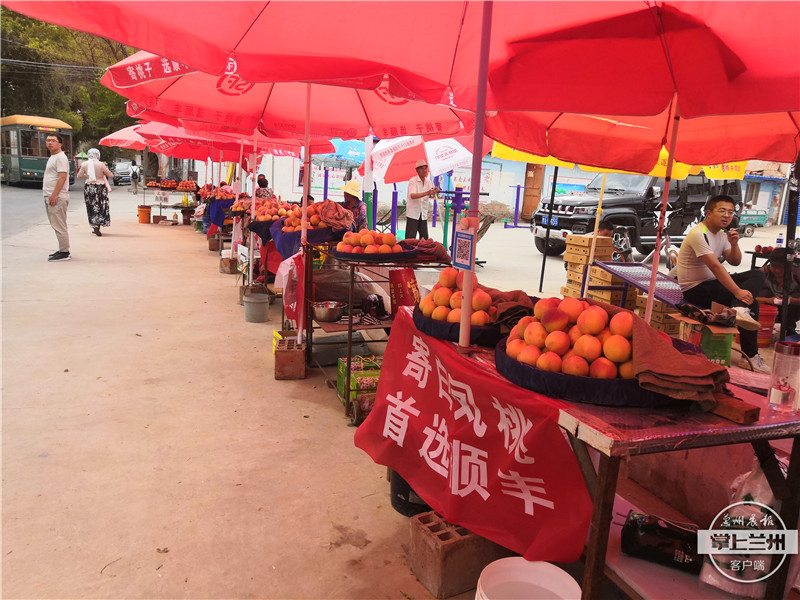 白凤桃安宁区,正宗兰州安宁白凤桃购买