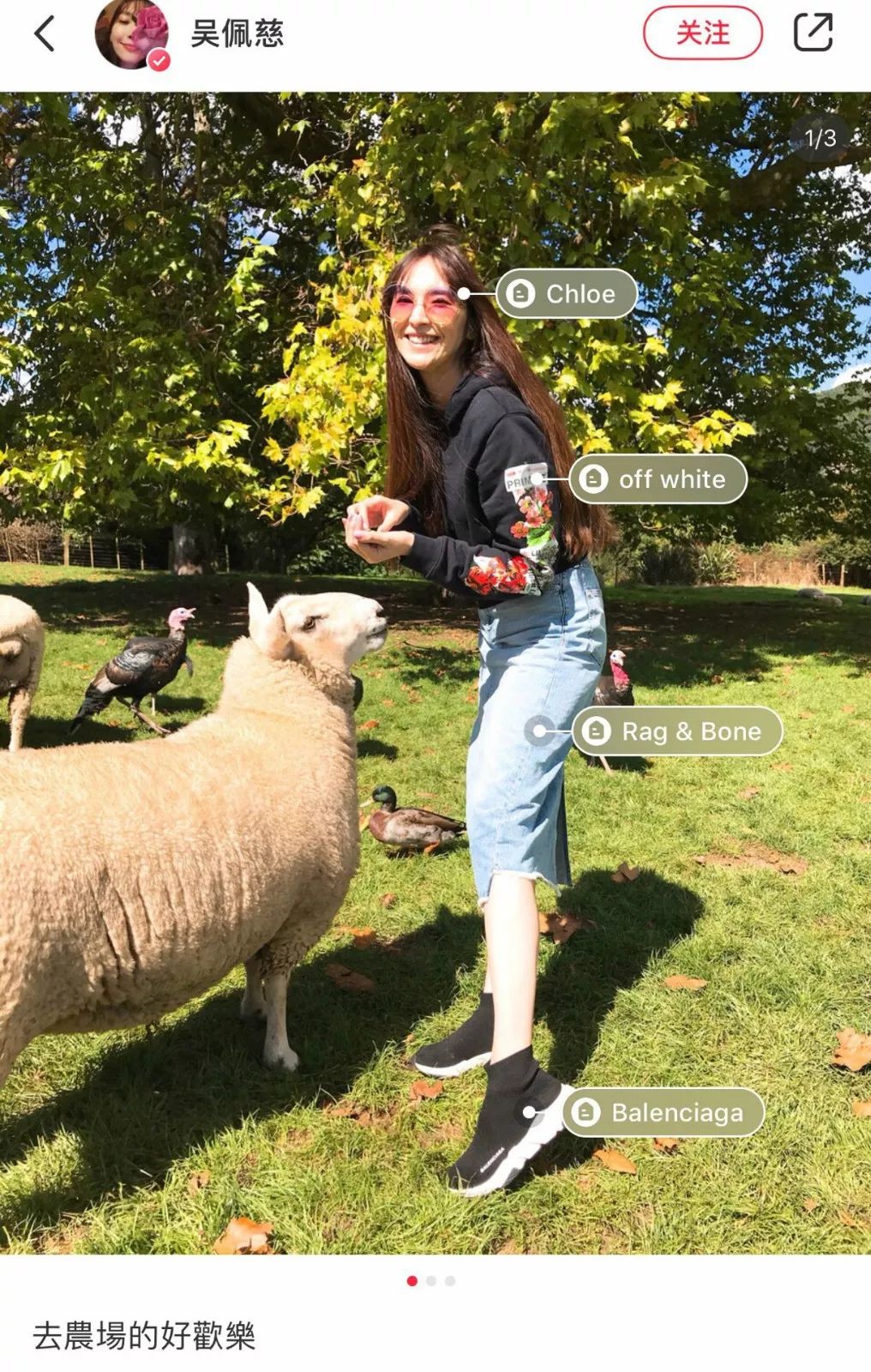 大家误会了，她明明是最努力的豪门阔太