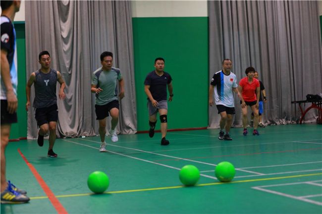 世警会2022,世警会战队