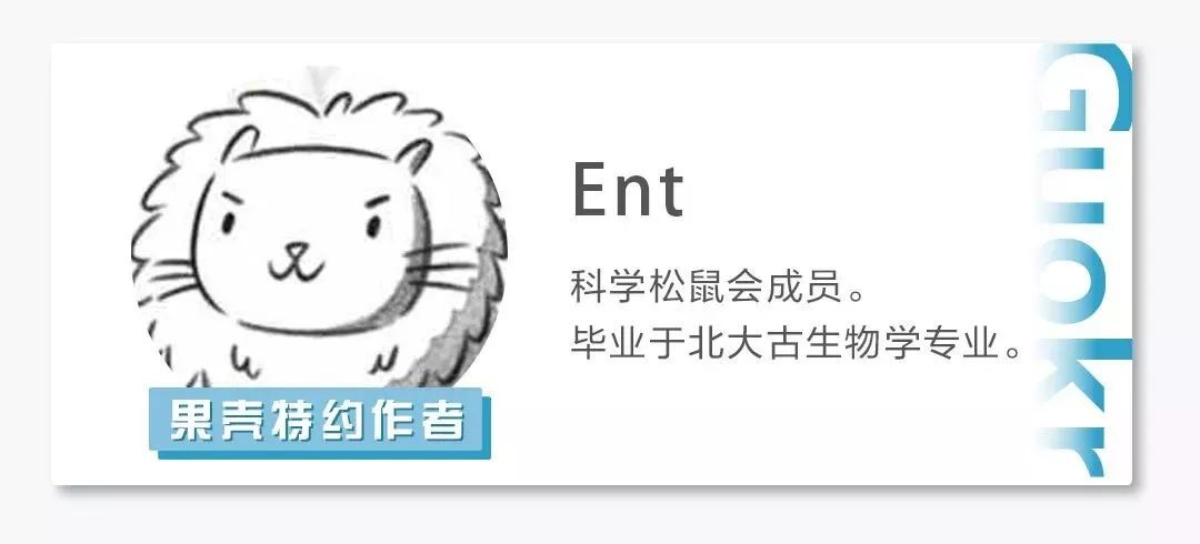 乌鸦没有石子怎么可以喝到水,乌鸦假如没有石子该怎样喝水呢