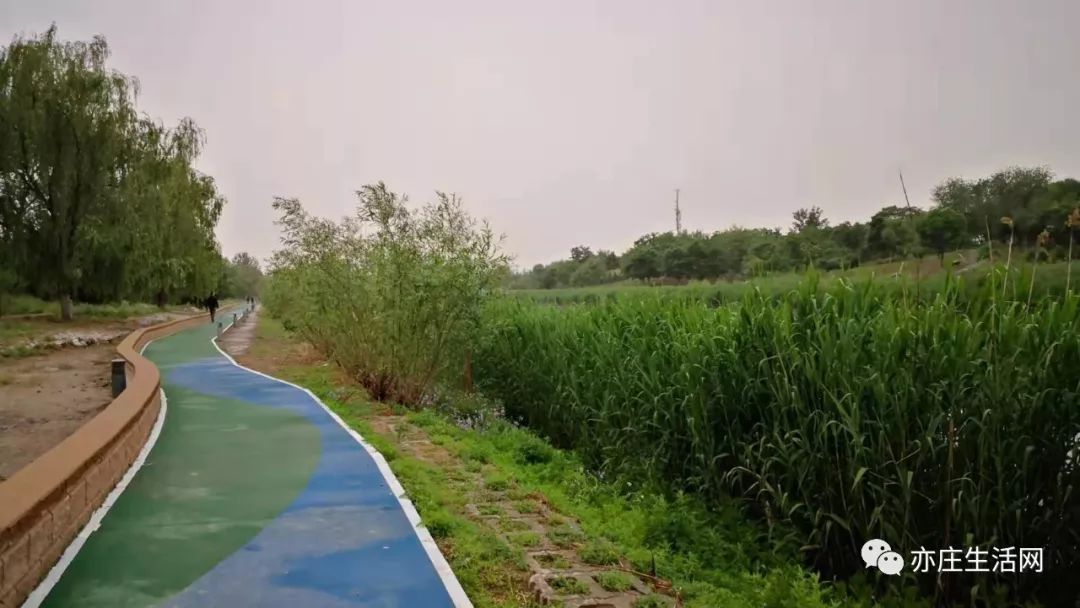 经开区露天夜市,经开区夜市美食城