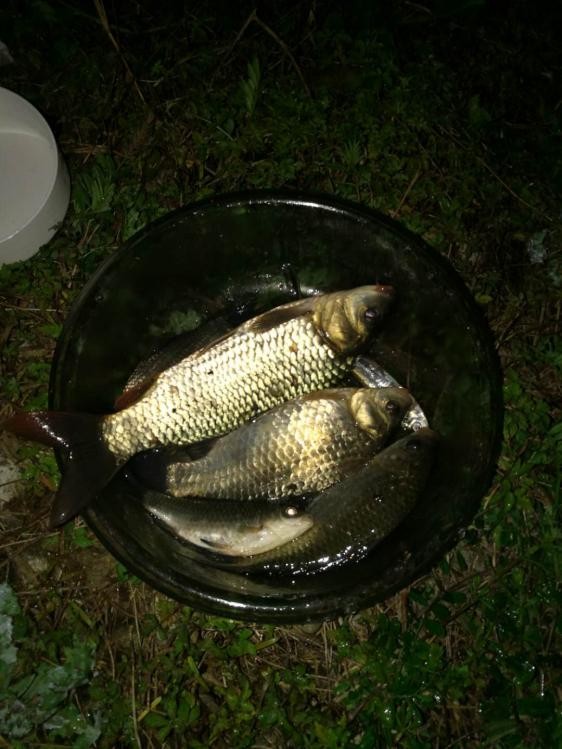 手持太极战蟹将擒得大鲤披月归