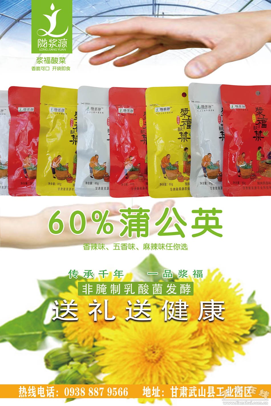 甘肃武山苦苣酸菜浆水出售,武山酸菜销售