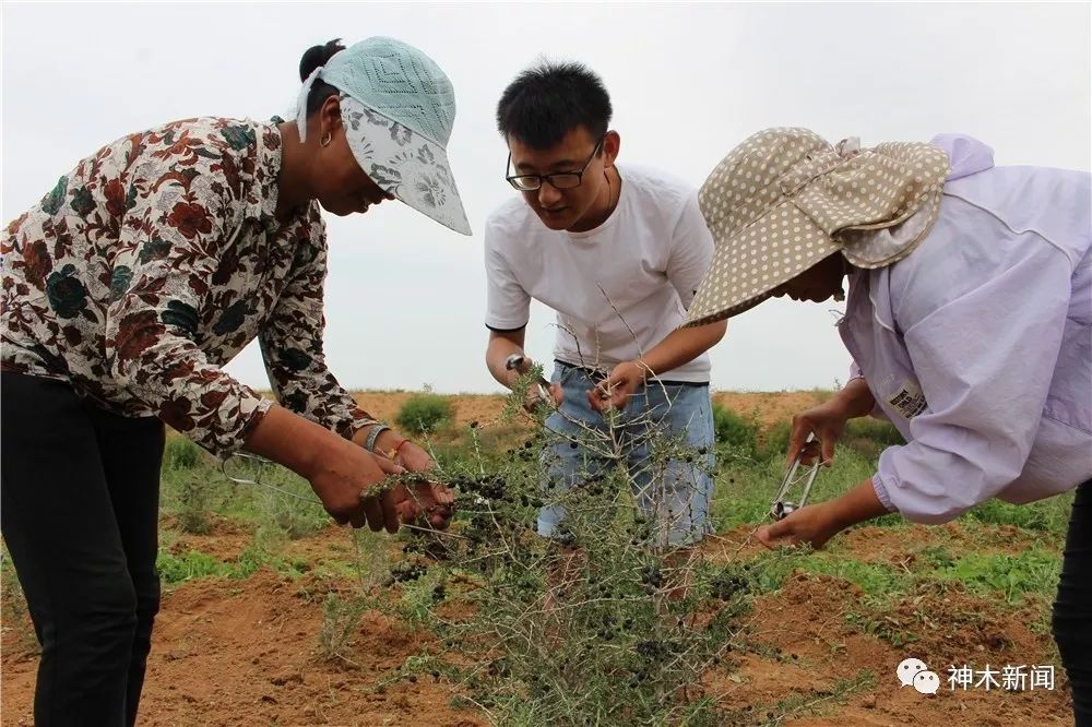 90后小伙子带村民致富,90后小伙带领全村人致富后续