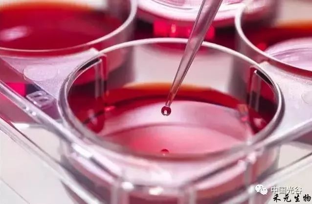 禾元生物重组人血白蛋白,禾元生物创新药