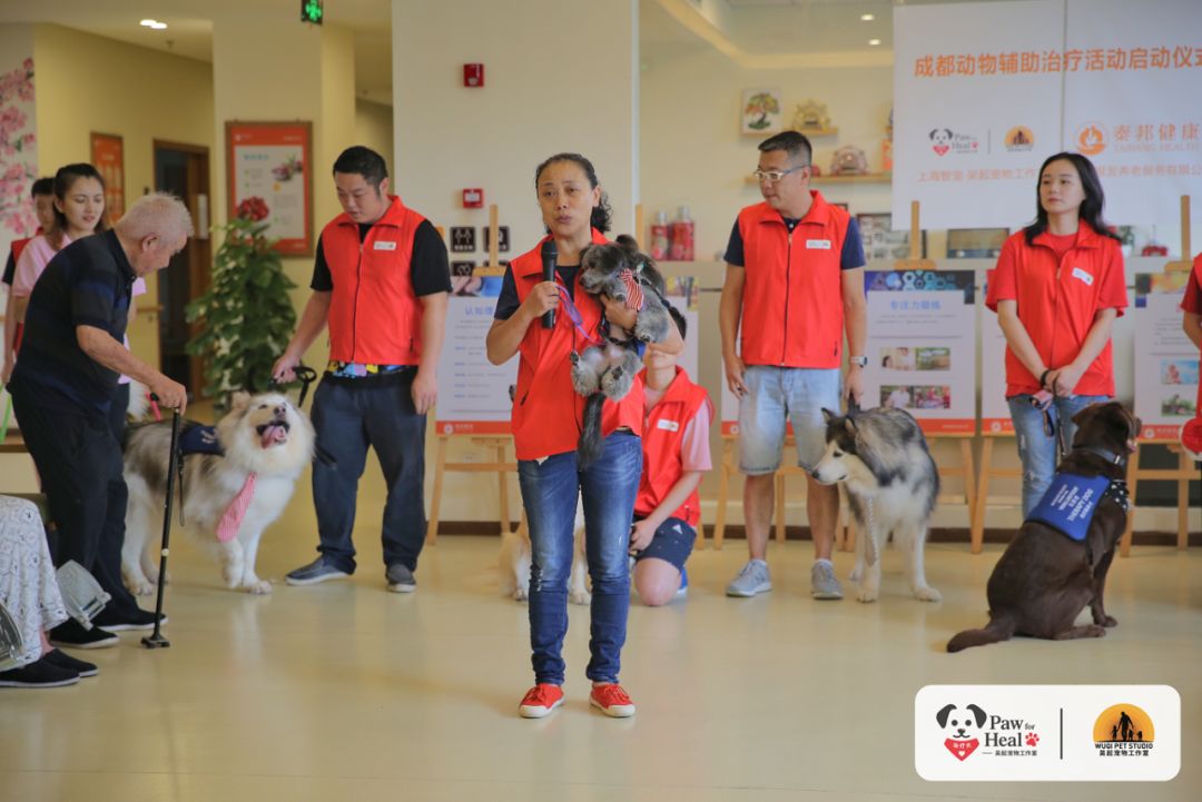 用生命影响生命朗诵央视,用生命影响生命手语朗诵