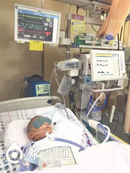 当心有毒虫,毒虫出没一晚上4人被咬紧急送医