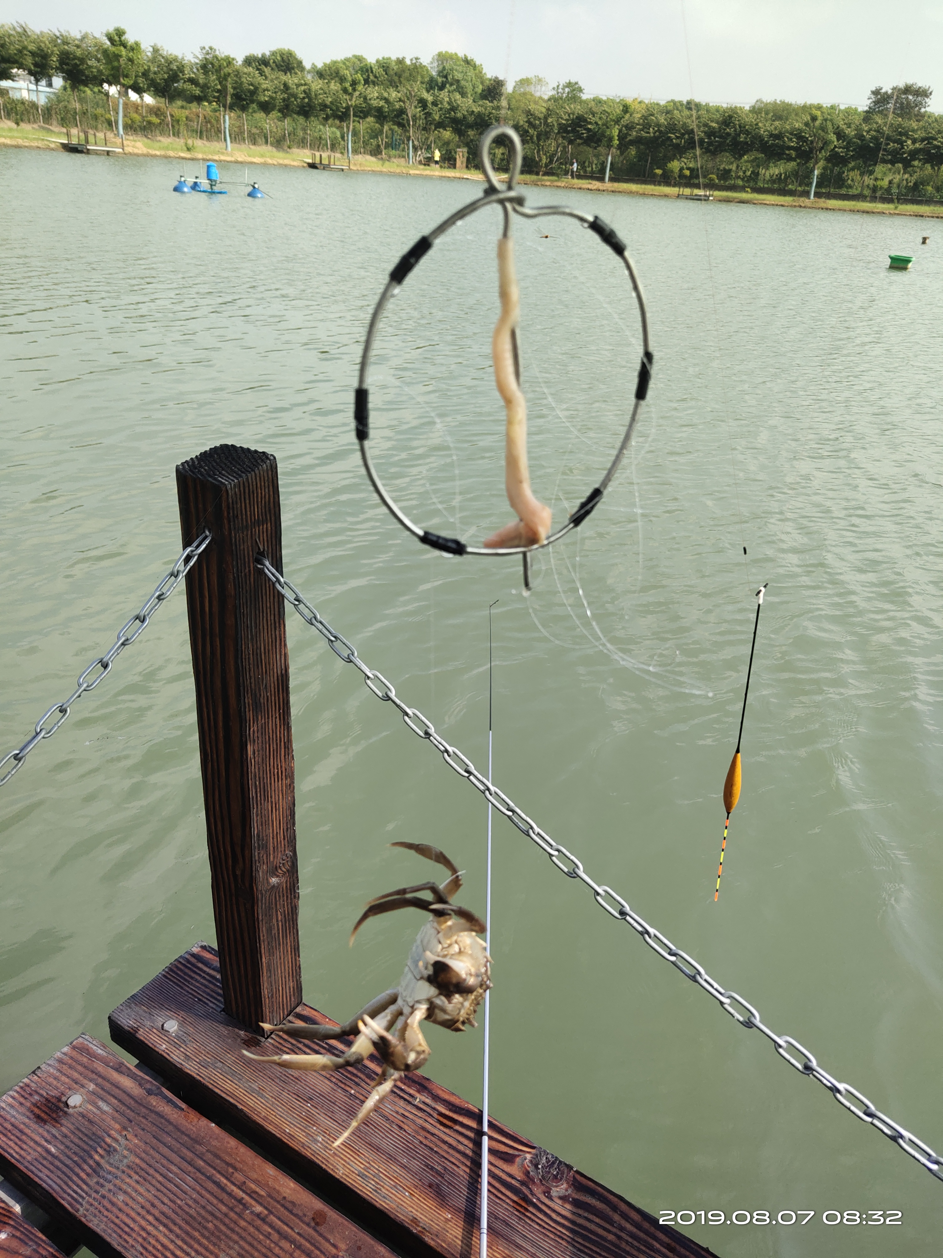 钓螃蟹专用神器钢丝球,钓螃蟹专用神器25元的