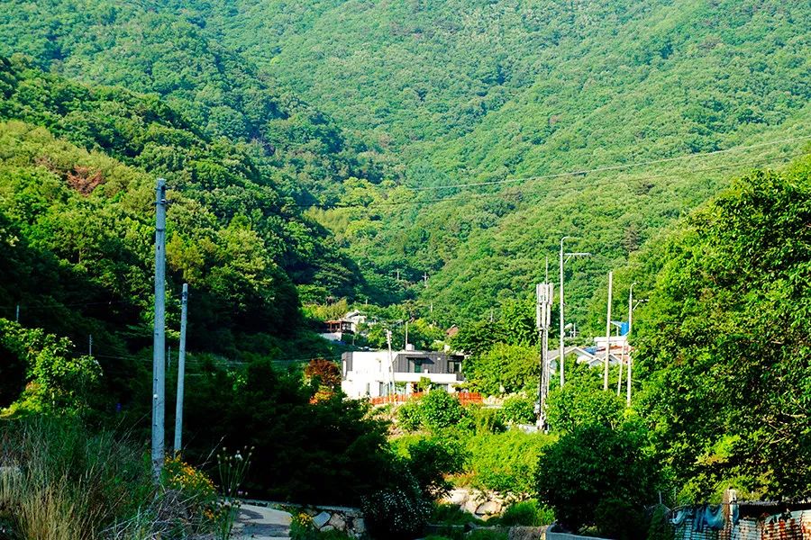 46个人的咖啡馆和2个人的幼儿园