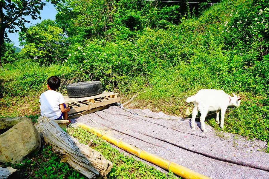 46个人的咖啡馆和2个人的幼儿园