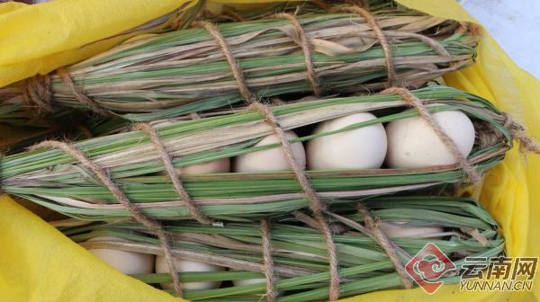 墨江县乡村振兴重要举措,云南省墨江县乡村振兴