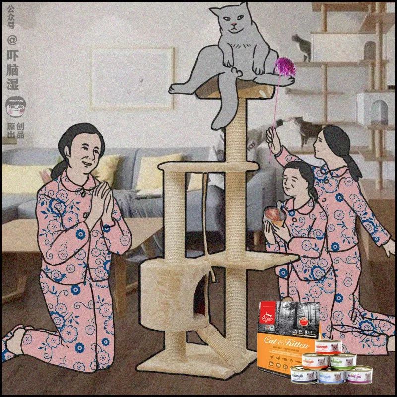 网络迷惑人行为大赏,全网有钱人类迷惑行为大赏