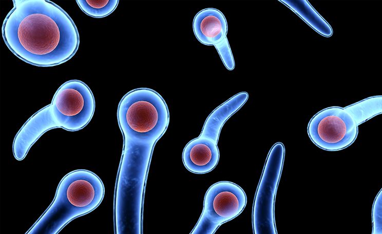 一掌拍在了图钉上，该怎么办|周末涨知识