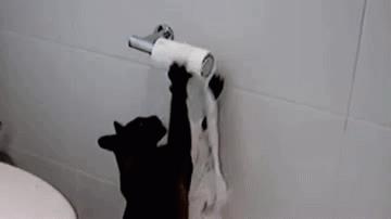 性格分析及指导,性格分析和教学设计