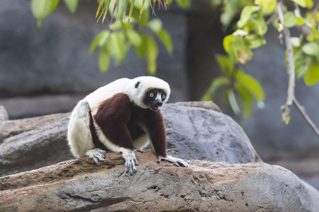 漫步圣地亚哥海边,圣地亚哥海岸风光
