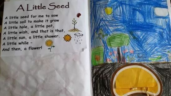 新西兰小学教育课程体系,新西兰小学生没有课本和作业