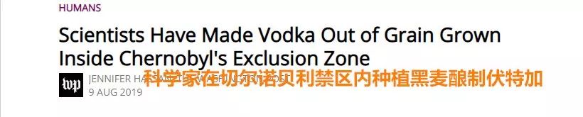 科学家用*污染核**禁区小麦酿出伏特加，喝了会变异么？