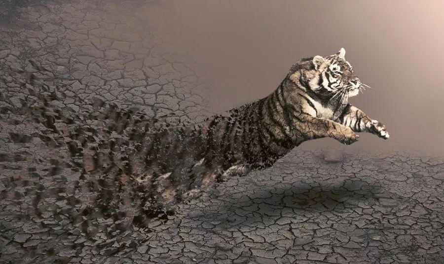 我的创业故事第二十七期,我的创业故事小说