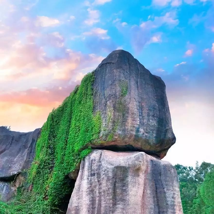 这是一场冰雪世界与海上花园的相遇，期待与你碰撞出不一样的火花~