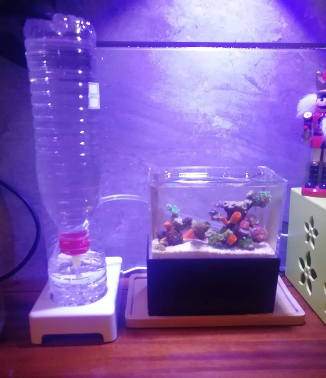 微缸为什么不能超过40公分高,微缸水体容量加大