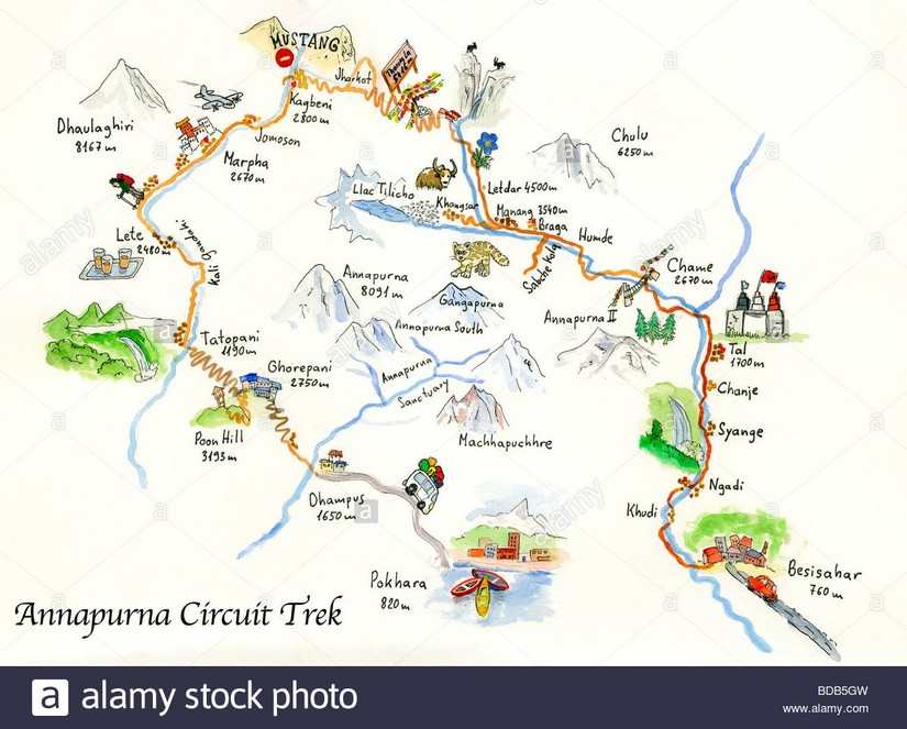 尼泊尔安娜普尔纳大环线act,安纳普尔那大环线尼泊尔act