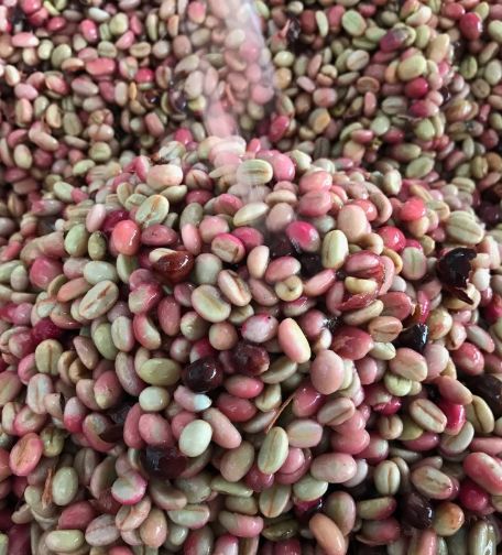 为什么游客都喜欢哥伦比亚,哥伦比亚咖啡的口感与特点