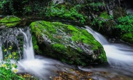 郑州免费景点排行榜前十名,2022春节郑州免费景点