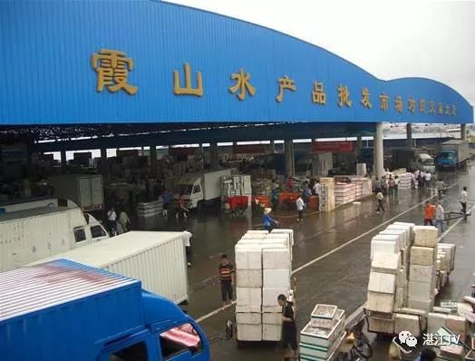 香港tvb经典打卡,香港湛江海鲜