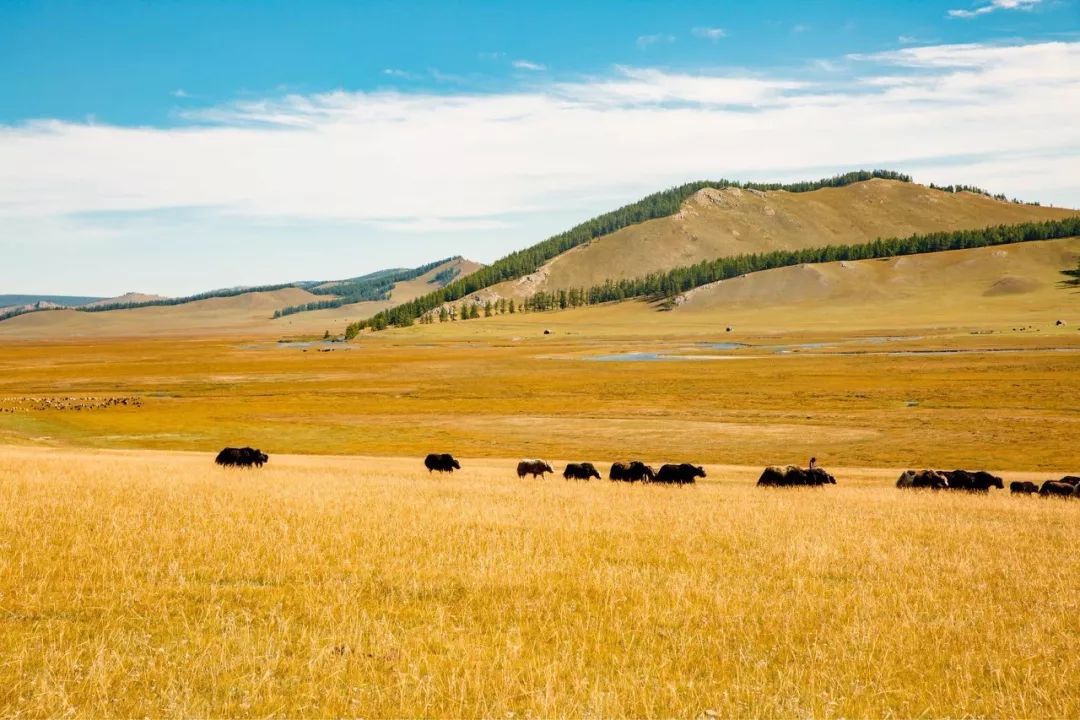 从北京到俄罗斯全过程,北京到俄罗斯沿途风景视频